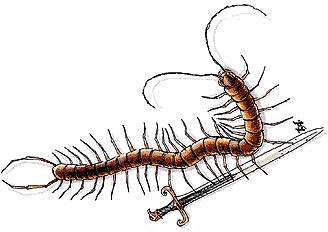 Гигантская многоножка (Giant Centipede) Гигантская многоножка (Giant Centipede)