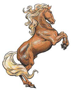 Упряжная лошадь (Draft Horse) Упряжная лошадь (Draft Horse)
