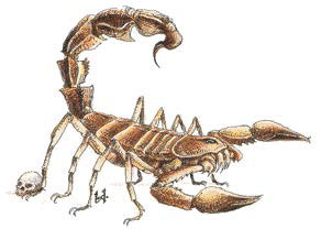 Гигантский скорпион (Giant Scorpion) Гигантский скорпион (Giant Scorpion)
