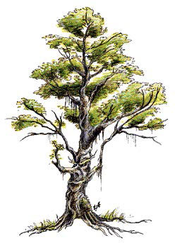 Трент (Treant) Трент (Treant)