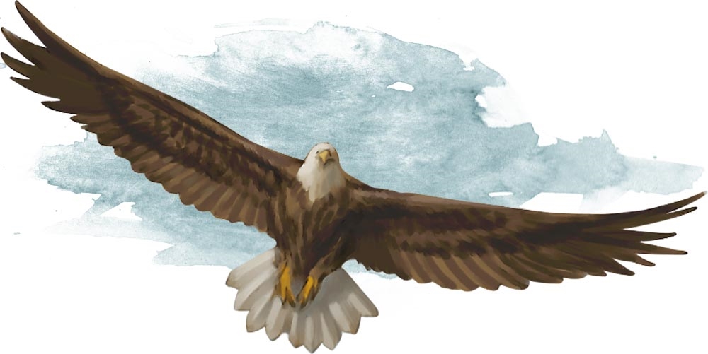 Орёл (Eagle) Орёл (Eagle)