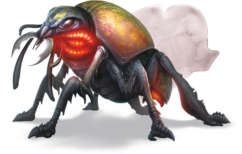 Гигантский огненный жук (Giant Fire Beetle) Гигантский огненный жук (Giant Fire Beetle)