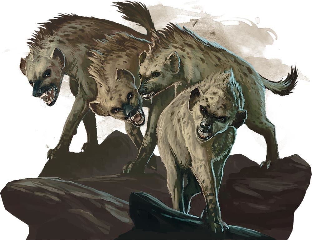Гиена (Hyena) Гиена (Hyena)