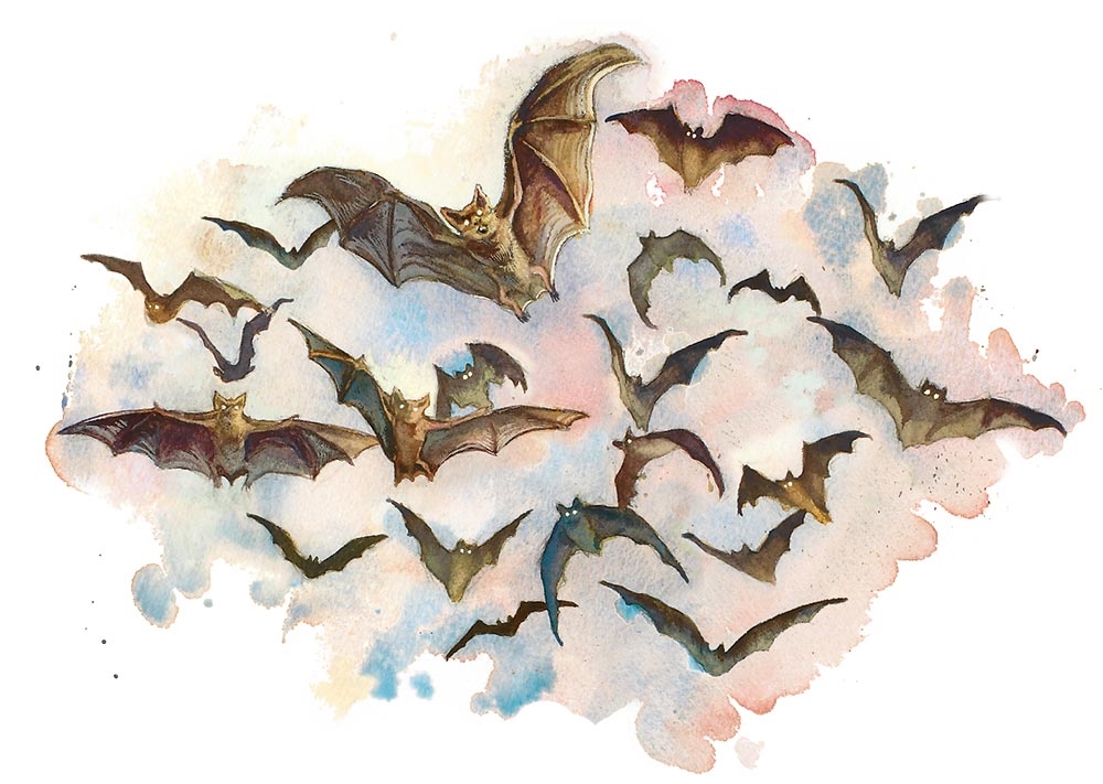 Рой летучих мышей (Swarm of Bats) Рой летучих мышей (Swarm of Bats)
