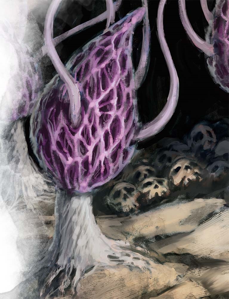 Лиловый гриб (Violet Fungus) Лиловый гриб (Violet Fungus)